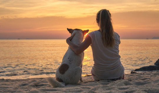 Las-playas-para-perros-más-bonitas-de-Europa-teaser-hero
